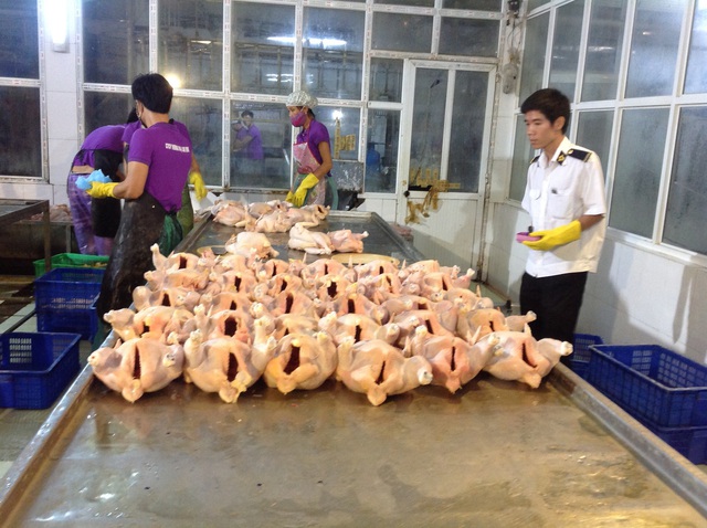 Tăng cường quản lý giết mổ và tiêu thụ sản phẩm động vật đến năm 2030