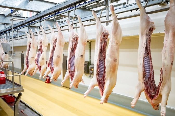 Sắp thí điểm sàn giao dịch thịt heo