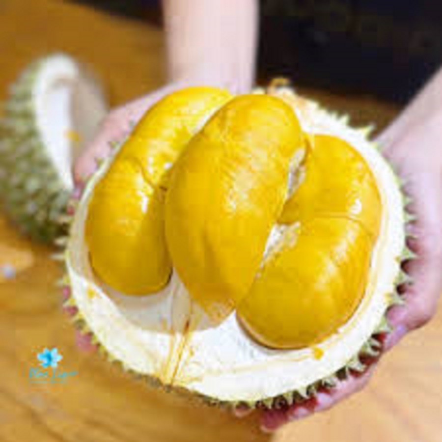 Giá sầu riêng hôm nay 29/10: Sầu Thái loại A có giá 95.000 đồng/kg