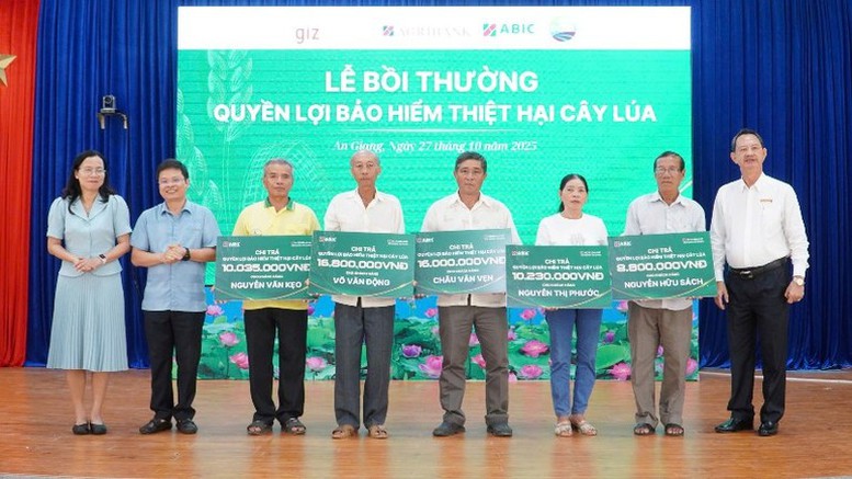 Bảo hiểm cây lúa: ‘Lá chắn’tài chính cho chuỗi sản xuất – tiêu thụ lúa gạo