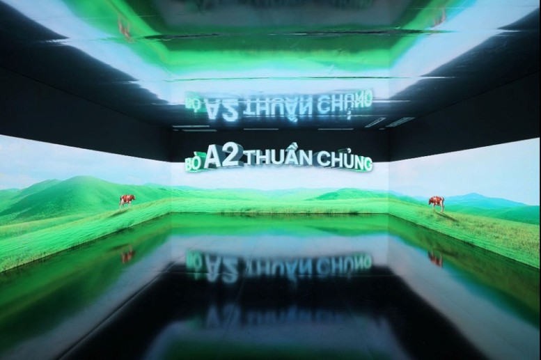 GippsNature Organic A2 được sử dụng nguồn sữa từ giống bò A2 thuần chủng, chăn thả tự nhiên tại "thủ phủ bò sữa" Gippsland (bang Victoria, Australia). GippsNature Organic A2 được sử dụng nguồn sữa từ giống bò A2 thuần chủng, chăn thả tự nhiên tại "thủ phủ bò sữa" Gippsland (bang Victoria, Australia).