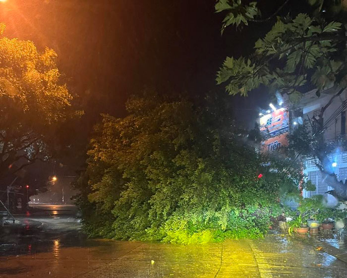 Bão số 13 vào sâu Gia Lai và Đắk Lắk, nhiều nhà sập và cây lớn bật gốc