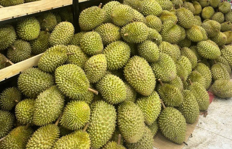 Giá sầu riêng hôm nay 9/11 nhích nhẹ