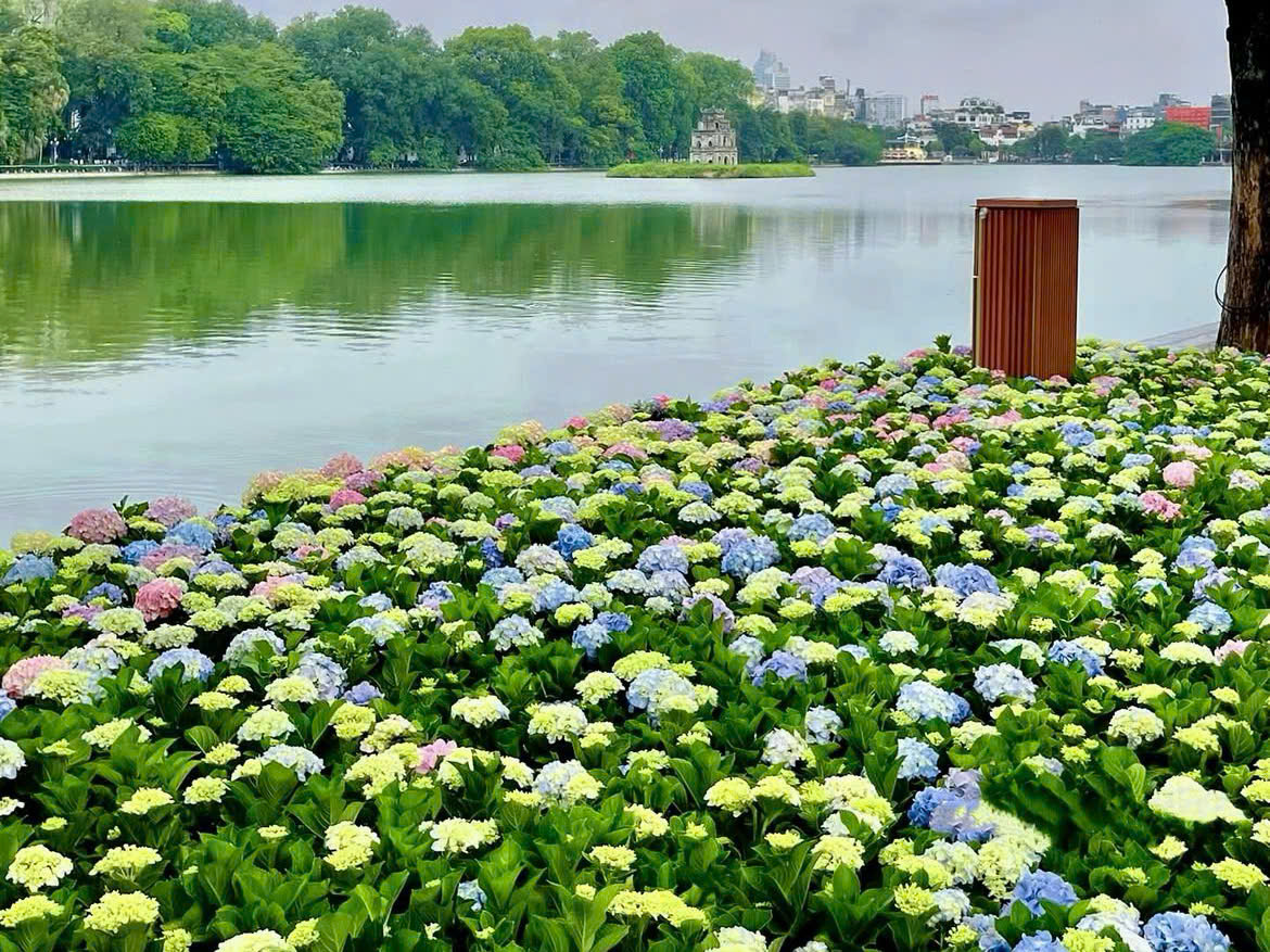 Thời tiết ngày 12/11: Hà Nội hửng nắng, Nam Bộ mưa dông rải rác