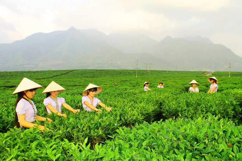 Sắp diễn ra Ngày hội sản phẩm vùng đồng bào dân tộc thiểu số và miền núi phía bắc