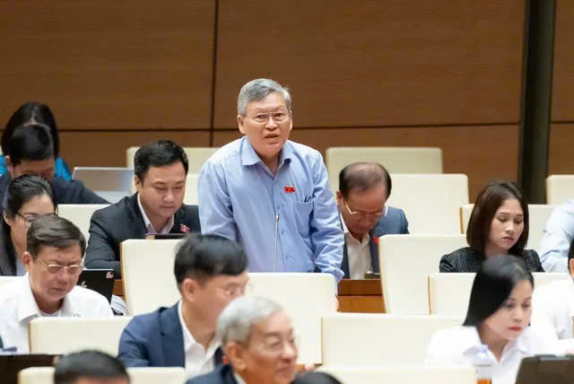 Đại biểu Tô Văn Tám đoàn Quảng Ngãi phát biểu. (Ảnh: tổng hợp)