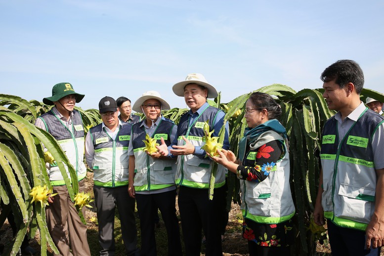 Khuyến nông 'bắt tay' doanh nghiệp: 'Thiên thời, địa lợi, nhân hòa' cho 1 triệu ha lúa chất lượng cao