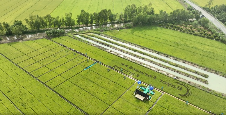 Ngành Trồng trọt bước vào giai đoạn phát triển xanh