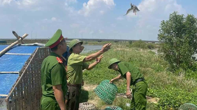 Xử lý nghiêm hành vi mua bán, săn bắt chim hoang dã