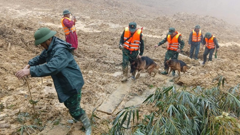 Sử dụng chó nghiệp vụ, tăng tốc tìm kiếm nạn nhân bị lở núi ở Đà Nẵng