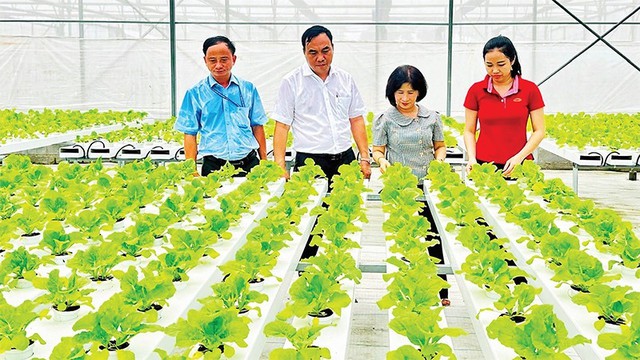 TPHCM đẩy mạnh xây dựng chuỗi nông sản sạch, an toàn