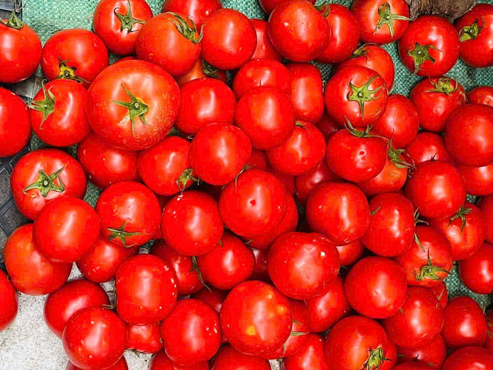 Cà chua tại các chợ truyền thống Hà Nội đang được bán với giá 60.000 - 65.000 đồng/kg, cao gấp đôi so với tuần trước. (Ảnh: tổng hợp)