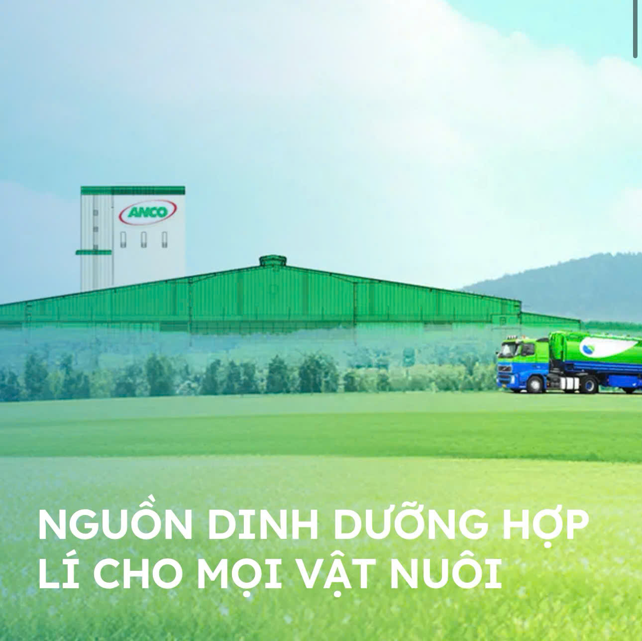 Cục An toàn thực phẩm đã phát hiện sản phẩm Thực phẩm bảo vệ sức khỏe TS ANCO có vi phạm quy định của pháp luật về quảng cáo thực phẩm. (Ảnh: minh hoạ)