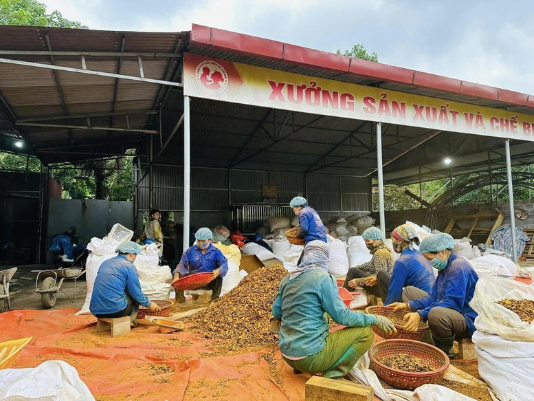 Bạch Thông phát huy kinh tế tập thể, nâng tầm sản phẩm OCOP