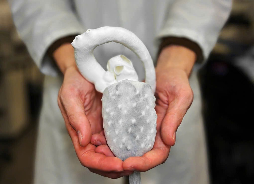 Bật mí những công nghệ đột phá xuất hiện tại VinFuture 2025