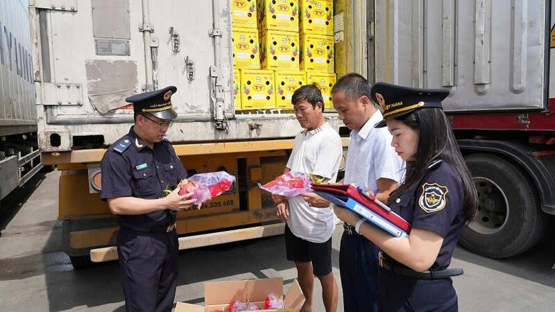 Tăng cường kiểm soát, Hải quan phát hiện nhiều lô hàng quá cảnh vi phạm xuất xứ và ghi nhãn