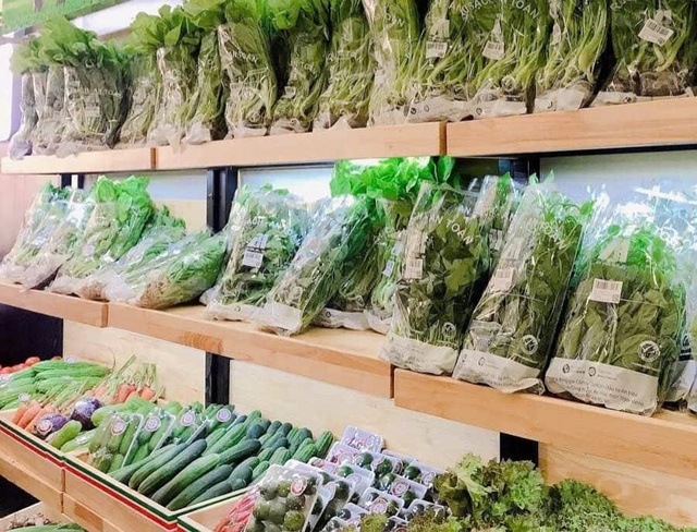 Đẩy mạnh sản xuất rau an toàn ứng dụng công nghệ cao