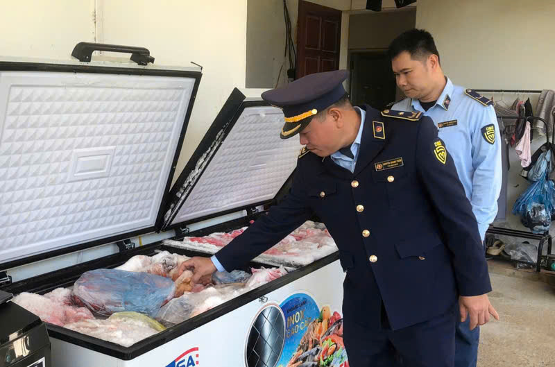 Đội Quản lý thị trường số 8 kiểm tra cơ sở kinh doanh tại thôn 8, xã Bắc Quang, phát hiện 380 kg thịt lợn không có hóa đơn chứng từ. Ảnh: Quản lý thị trường Tuyên Quang