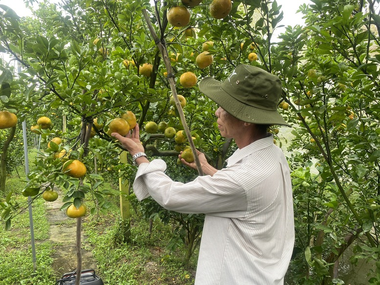 11 tháng, xuất khẩu nông, lâm, thủy sản vượt kỷ lục năm 2024