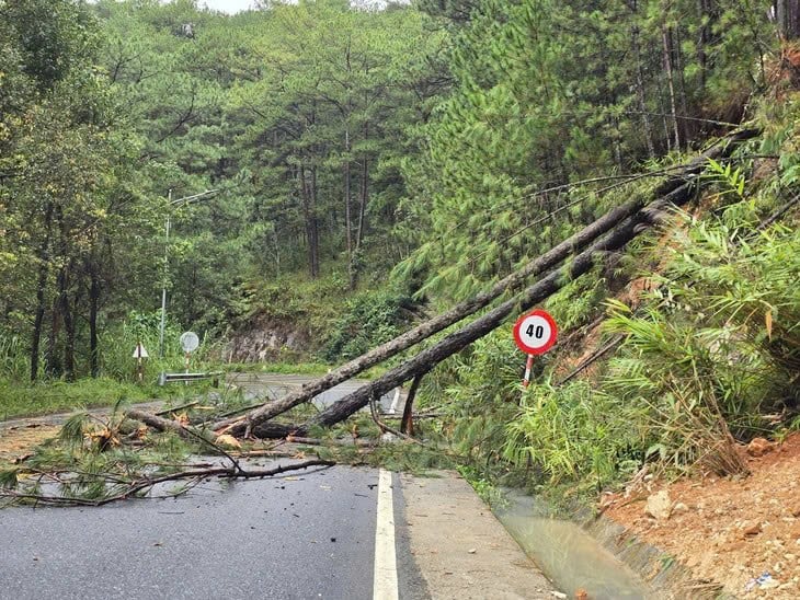Khắc phục sạt lở sau trận mưa lớn kéo dài ở Lâm Đồng