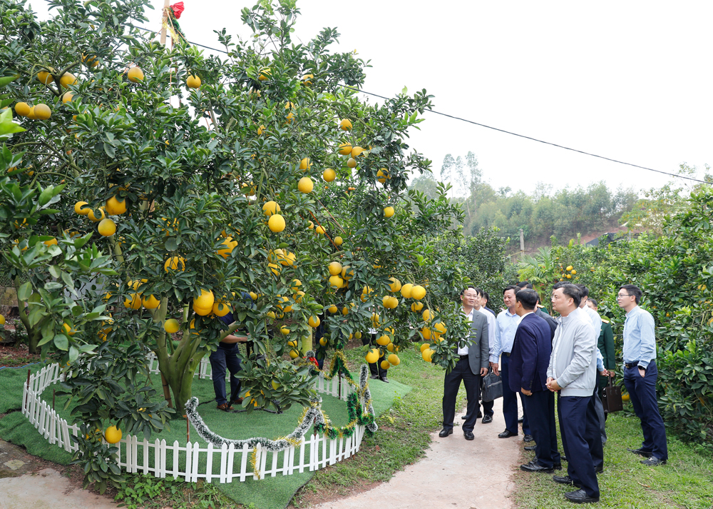 Tổng duyệt Chương trình khai mạc Lễ hội trái cây Bắc Ninh 2025