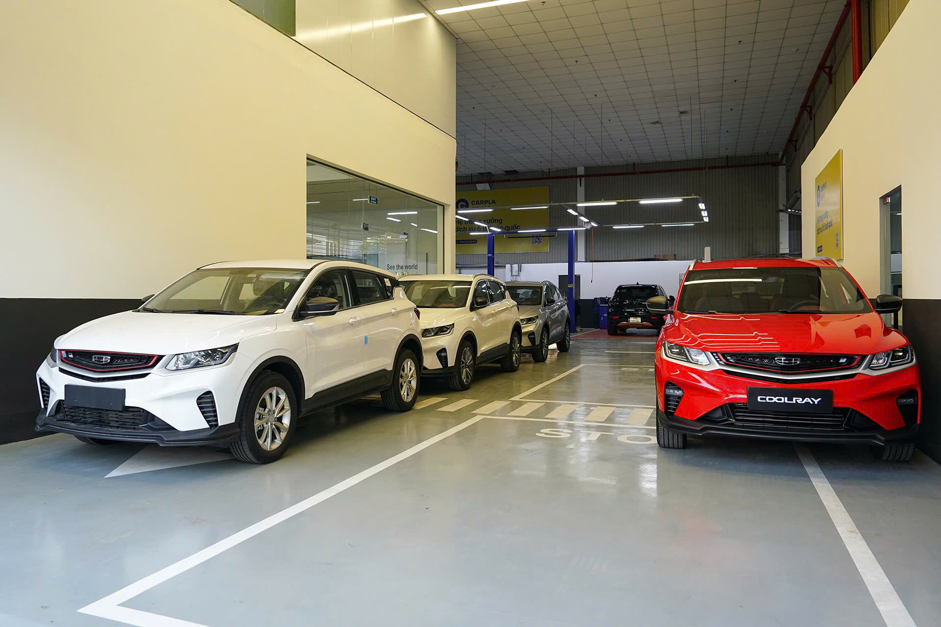 Các mẫu xe gầm cao được ưa chuộng. (Ảnh: Tổng hợp)