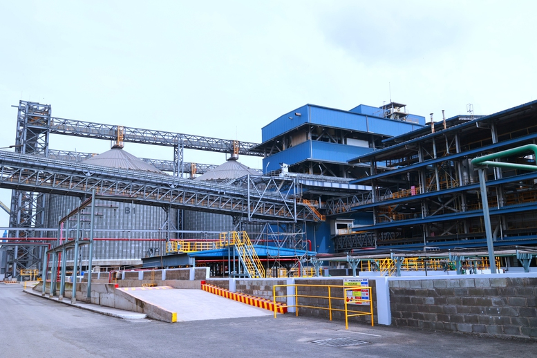 Tổng công suất ép dầu của VAL lên đến 7.800 tấn_ngày, đáp ứng khoảng 30% nhu cầu thức ăn chăn nuôi trong nước - Ảnh: VGP