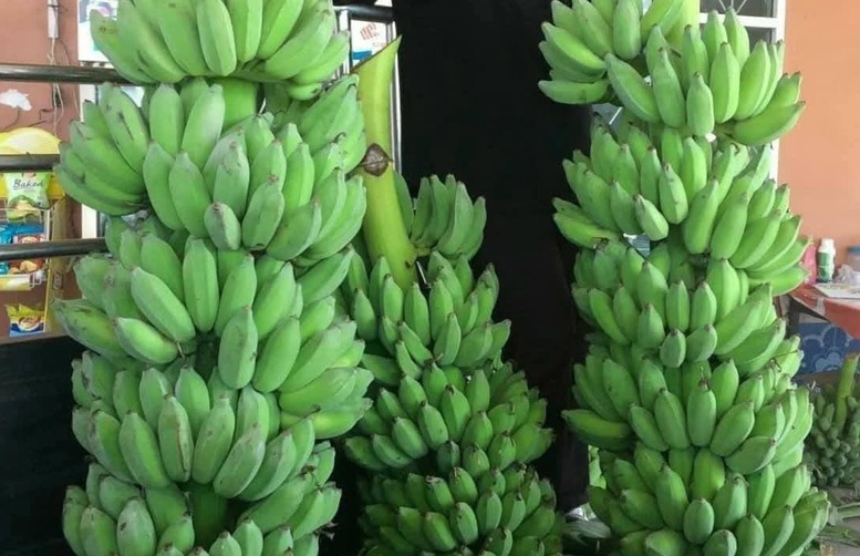 Xuất khẩu chuối của Việt Nam hoàn toàn có thể chạm mốc 1 tỷ USD