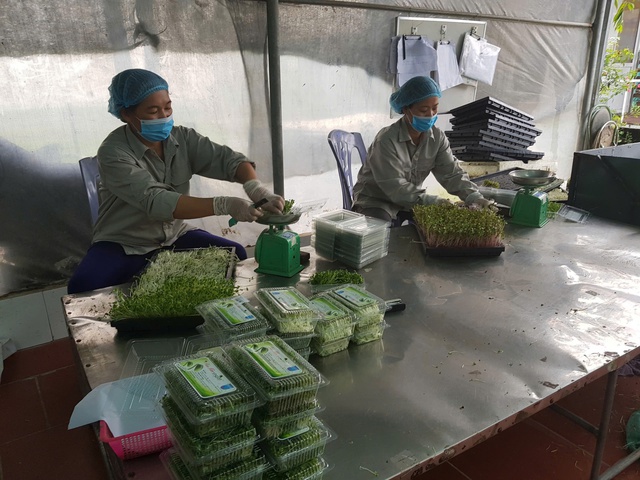 Chế biến, bảo quản tại nguồn – Mắt xích then chốt của chuỗi nông nghiệp an toàn