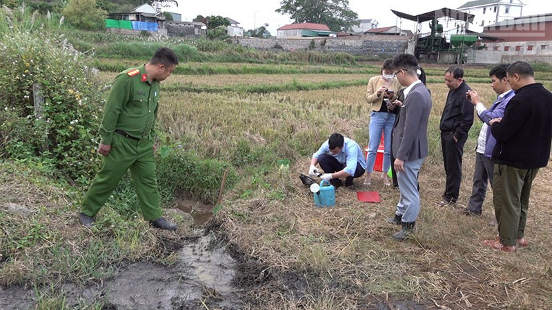 Đình chỉ một cơ sở sơ chế cà phê tại Sơn La