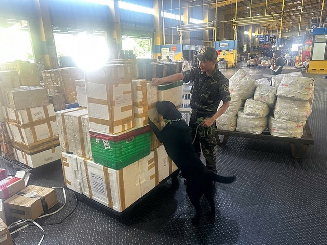 Hải quan khu vực I: Cao điểm chống buôn lậu dịp Tết