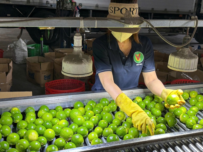 Xuất khẩu rau quả năm 2025 đạt kỷ lục 8,5 tỷ USD, cao nhất từ trước đến nay