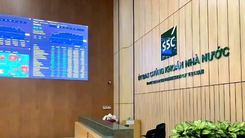 Xử phạt vi phạm chứng khoán Công ty TNHH Phát triển Bất động sản Cát Liên Hoa