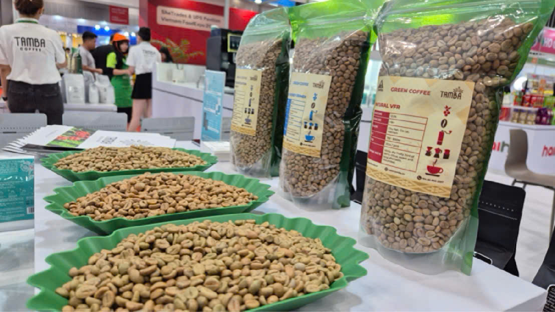 Nông dân “cân não” trước biến động giá cà phê vụ mới