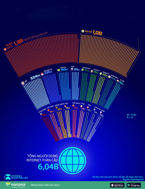 Việt Nam có tên trong 20 quốc gia có nhiều người dùng internet nhất