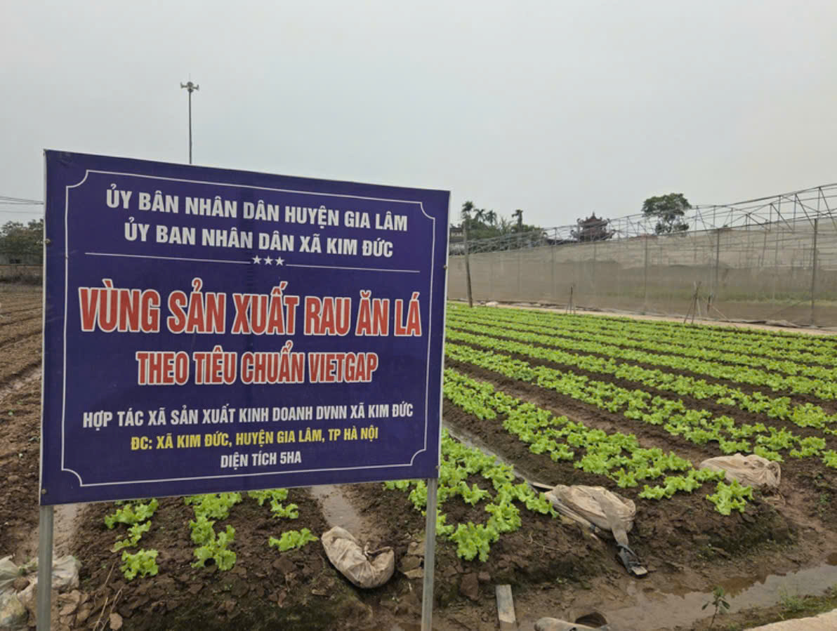 Hà Nội đẩy mạnh phát triển kinh tế tập thể, hợp tác xã theo hướng xanh, số, tuần hoàn