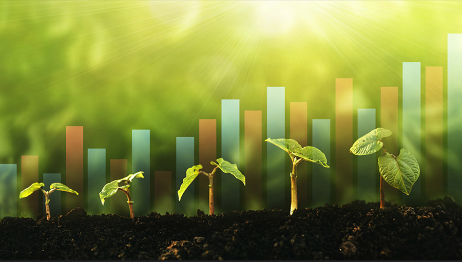 Tiềm năng thu hút tỷ USD tài chính khí hậu