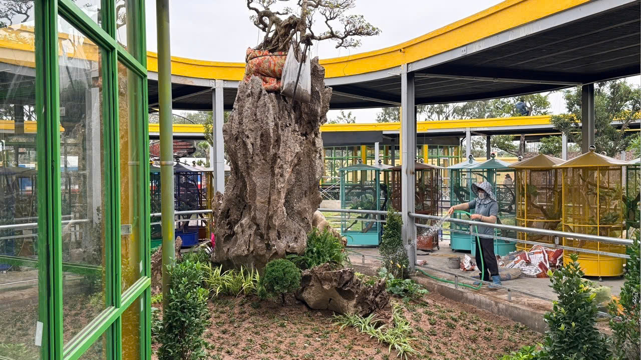 Khu tiểu cảnh đ&aacute; v&agrave; c&acirc;y xanh b&ecirc;n trong dự &aacute;n được gấp r&uacute;t ho&agrave;n thiện.