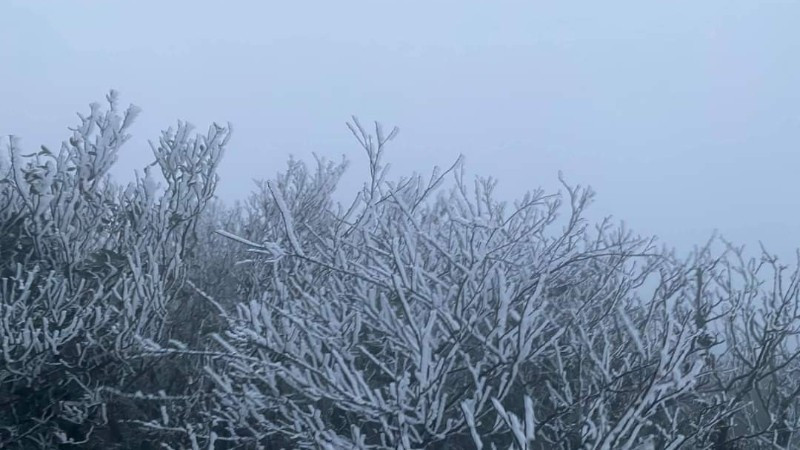 Không khí lạnh tăng cường, miền bắc rét đậm, rét hại, vùng núi dưới 5 độ C