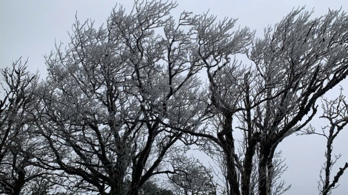 Rét đậm tràn về, băng giá phủ trắng đỉnh núi ở Cao Bằng