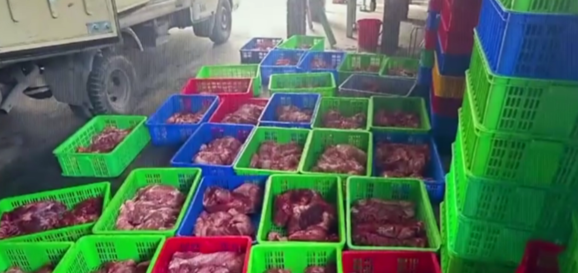 “Phù phép” giấy tờ, 130 tấn thịt lợn nhiễm dịch tả châu Phi lọt vào doanh nghiệp sản xuất đồ hộp