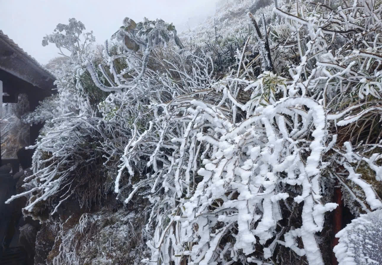 Đi đâu để có thể săn tuyết tại Việt Nam?