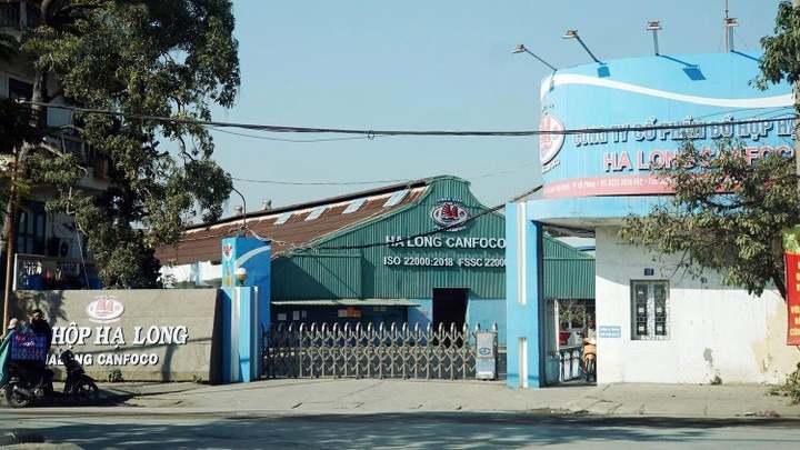 Vụ thịt heo bệnh chấn động ngành thực phẩm: Lãnh đạo Đồ hộp Hạ Long nhận lương tiền tỷ