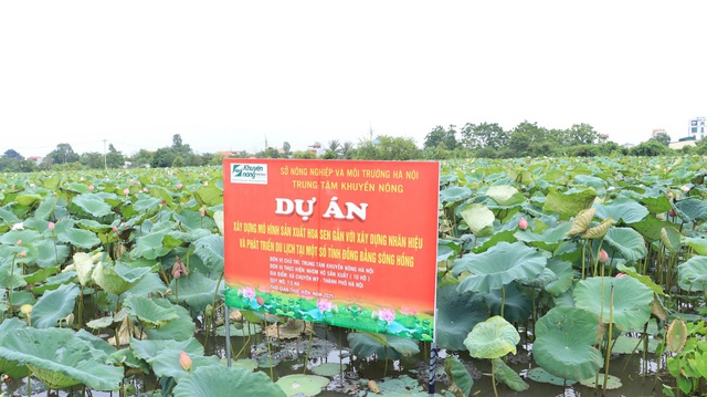 Tái định hình trồng trọt, mở đường cho nông sản Thủ đô bứt phá