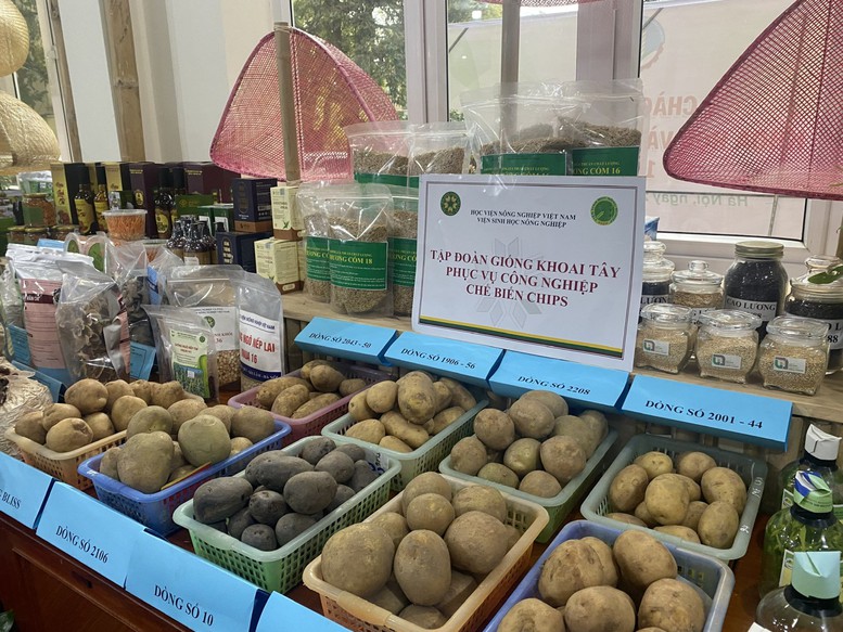 Nhiều giống mới được ra đời phục vụ cho c&aacute;c ng&agrave;nh h&agrave;ng thực phẩm - Ảnh: VGP/Đỗ Hương