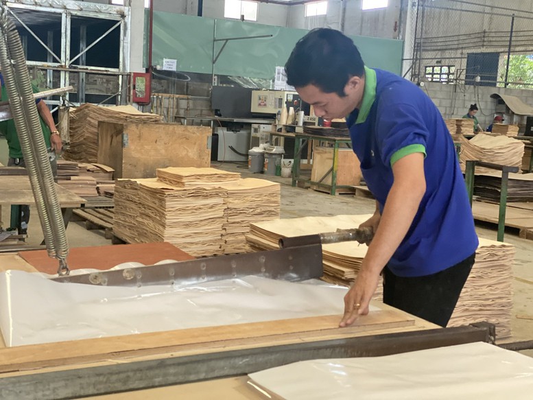 Đưa nông sản 'bay xa' bằng con đường ngoại giao