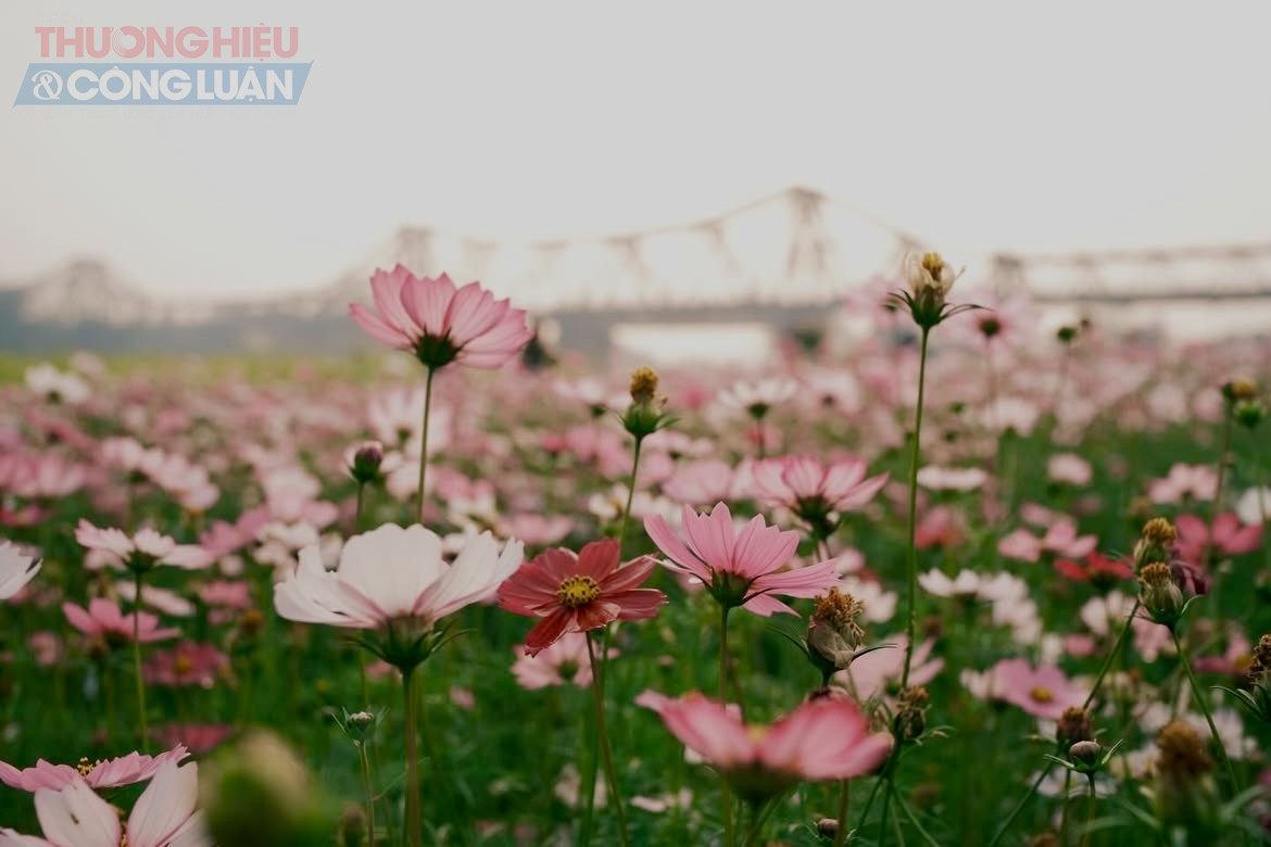 Thời tiết ngày 17/2: Miền Bắc mưa rét, Nam Bộ nắng nóng cục bộ