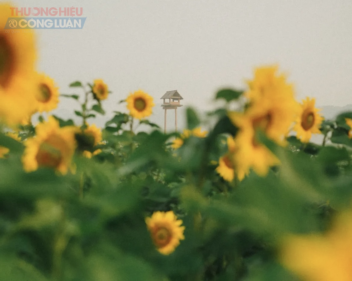 Thời tiết ngày 14/3: Miền Bắc sương mù, Trung Bộ tiếp tục mưa diện rộng