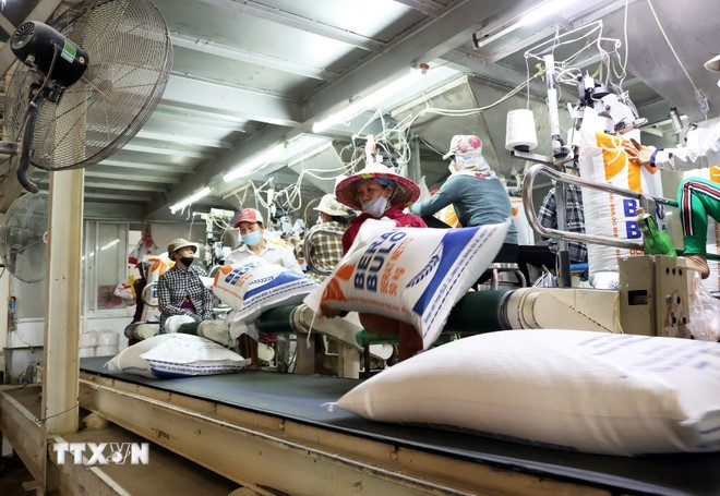 Dự kiến có 7,73 triệu tấn gạo hàng hóa cho xuất khẩu năm 2026