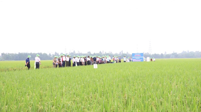 Nông nghiệp Hà Nội 2025: Tăng trưởng từ chiều sâu, bứt phá bằng chất lượng